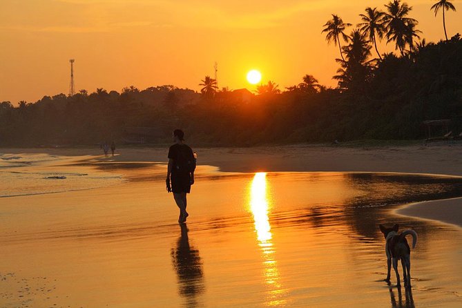 03 Days Beach Holidays in Sri Lanka with Kingfisher - Colombo Fort City Tour and the Galle Face Sunset Finish