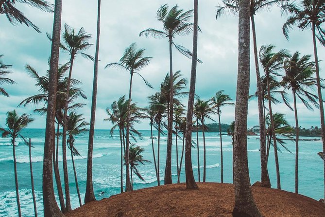 03 Days Beach Holidays in Sri Lanka with Kingfisher - Price and Value: What $240 Covers and What You’ll Pay On Top