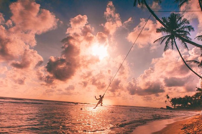 03 Days Beach Holidays in Sri Lanka with Kingfisher - Sea Turtle Hatchery in Bentota: A Conservation Stop That’s Still Visitor-Friendly