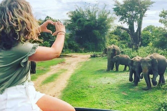 03 Days Highlights Of Sigiriya,Kandy,Nuwara Eliya ,Ella & Udawalawe - Should You Book This 3-Day Tour? Best Fit and Smart Alternatives