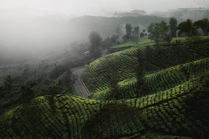 05 Days Sri Lanka Tour - Ceylon Highlights - Hotels, A/C transport, and the chauffeur guide effect