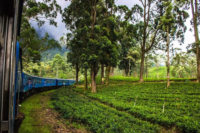 07 Days Amazing Experience - Kandy’s Sacred Tooth Relic, plus the quick stops that add context