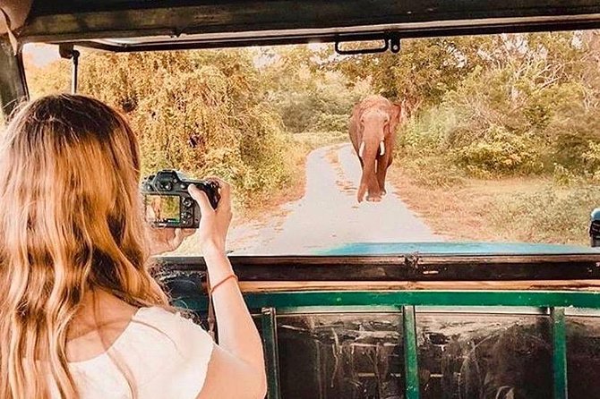 08 - Day Classic Tour with English speaking drive and Private luxury vehicles - What this tour is really good at (and who it fits)