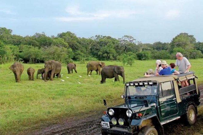 08 Nights in Magical Sri Lanka - Day 6 Tea country, Ramboda falls, Gregory Lake, and the scenic train to Ella