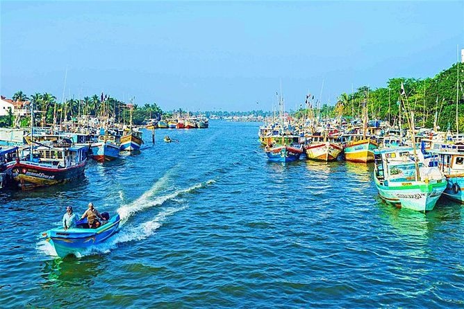 08 Nights in Magical Sri Lanka - Day 2 Negombo fish market, Dutch-era tunnels, and village life