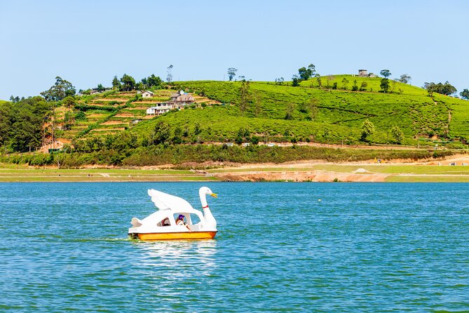 09 Days in Sri lanka - Major Attractions - Yala National Park safari then Mirissa: animals first, beach second