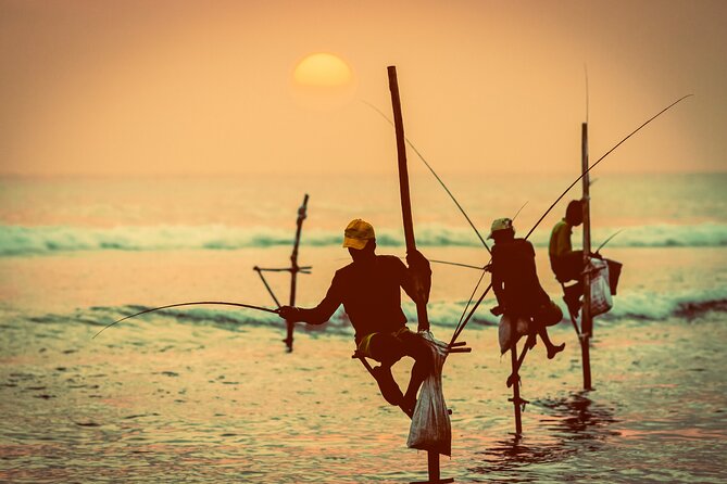 09 Days in Sri lanka - Major Attractions - Day 9: private transfer back to Colombo Airport