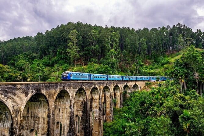 10 Days/ 9 Nights - Heritage Wildlife and Waves in Sri Lanka - Day 2: Dambulla cave murals and an elephant safari in Minneriya