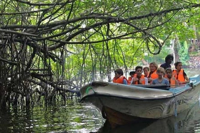 10 Days 9 Nights Sri Lanka Tour - Multi Day Tour - Kandy: Temple of the Tooth, dance show, and a herbal stop