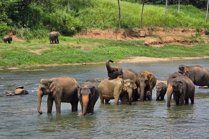 12 Days Tour Grand Discovery of Sri Lanka - Colombo City Walks and Negombo Lagoon: Easy Getting-Oriented Day