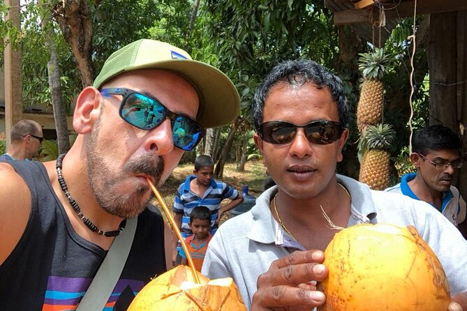 14-Day Private Tour All Around Sri Lanka - Kandy temples, gardens, falls, and tea: the middle-country highlight week