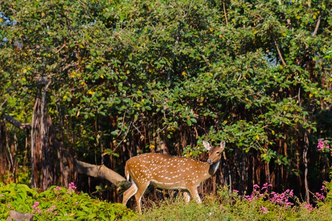 14-Day Private Tour in Sri Lanka - Katunayake Start and Negombo Beach Day: A Gentle First Landing