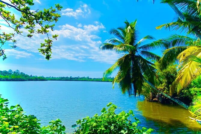 14 Days/ 13 Nights -Sri Lanka Tour on Culture, Wildlife & Beaches - Why This 14-Day Sri Lanka Mix Works