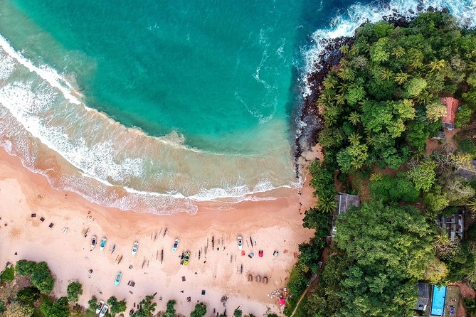 14 Days Sri Lanka Tour - Explore Sri Lanka - From Colombo Pickup to Dambulla’s Golden Cave Temples