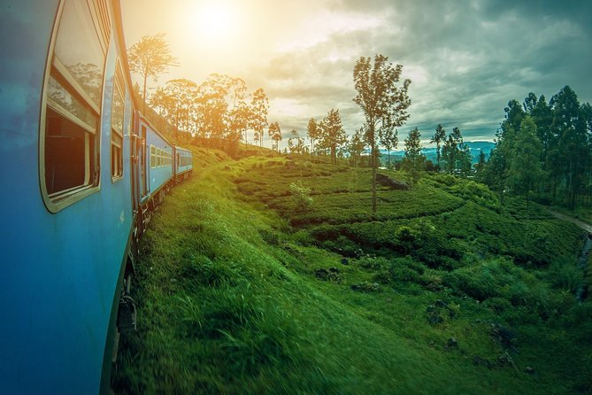 14 Days Sri Lanka Tour - Explore Sri Lanka - Anuradhapura and Aukana: Sacred Sites With a Different Feel