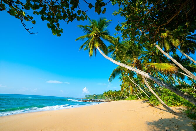 14 Days Tour in Sri Lanka - Fortnight Expedition with Luxury Hotels - Why this 14-day Sri Lanka circuit works so well