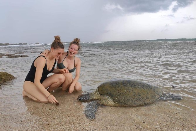 14 Days Tour in Sri Lanka (Hotels with Breakfast & Luxury Car) - Day 2: Mangroves on the Madu River and a turtle-care reality check