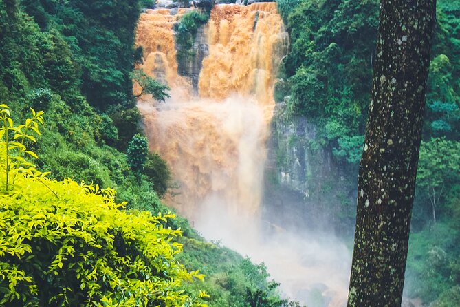 15-Day Tour in Sri Lanka with Private Driver - Private chauffeur across the island: what you’re really paying for