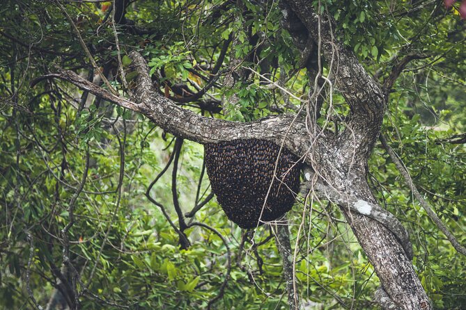 15-Day Tour in Sri Lanka with Private Driver - Ella day: train ride timing, Little Adam’s Peak, and Gregory Lake