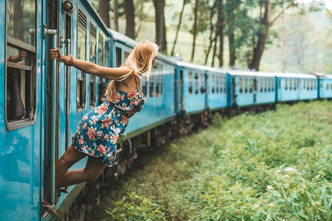 2 Day Tour of Yala & Ella with Hill Country Scenic Train Ride - All Inclusive - Yala National Park safari: why the timing matters
