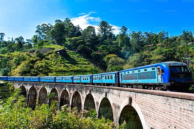 2 Day Tour of Yala & Ella with Hill Country Scenic Train Ride - All Inclusive - Kelliebedde Tea Factory and plantation stop: what to look for
