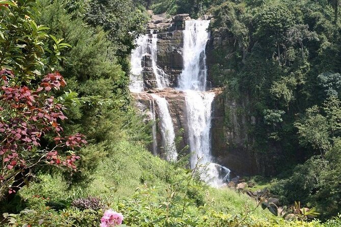 2 Day Tour of Yala & Ella with Hill Country Scenic Train Ride - All Inclusive - Logistics and comfort: pickup area, private group, and pacing
