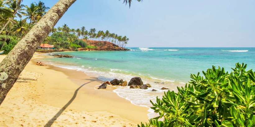 2-Day Whale Watching & Southern Sri Lanka Tour - Key highlights worth planning for