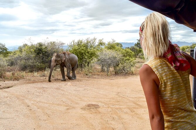 2 Days Tour of Double Safari (Yala & Udawalawe) - All Inclusive - Day 2: Udawalawe morning safari for elephants, then ETH