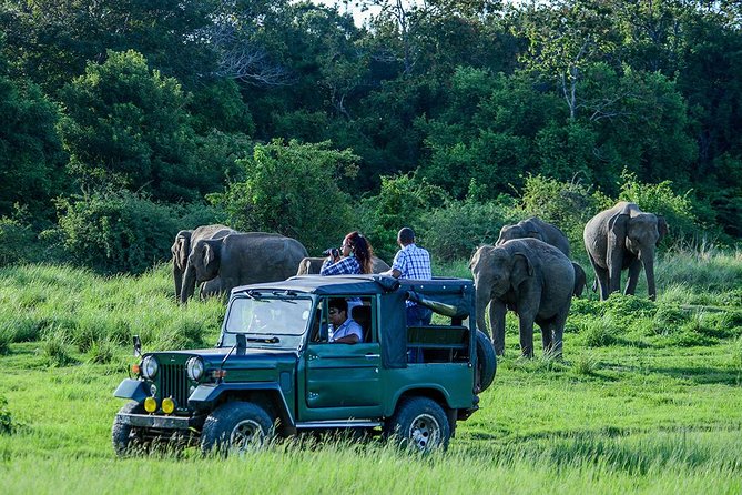 2 Days Tour of Double Safari (Yala & Udawalawe) - All Inclusive - Day 1: Yala National Park evening safari + a real overnight base
