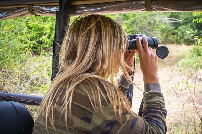 2 Nights All Inclusive Treehouse Safari in Yala with transfers - Day 1 in Yala: arrive, settle, then chase movement at golden hour