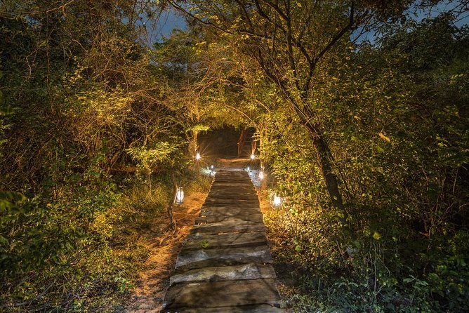 2 Nights All Inclusive Treehouse Safari in Yala with transfers - Day 2: Nimalawa lake trail for birds, then Bundala for bird country
