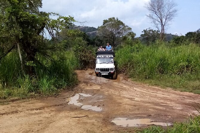 3 Day Private Tour from Negombo to Sigiriya and Kandy - Dambulla Cave Temple: the heritage warm-up you won’t skip