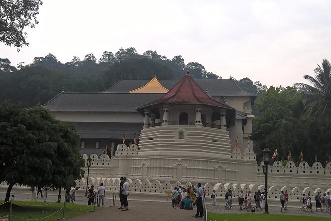 3 Day Privet Tour To Kandy & Sigiriya From Colombo - Royal Botanical Gardens in Kandy: a calm start before the sacred spots