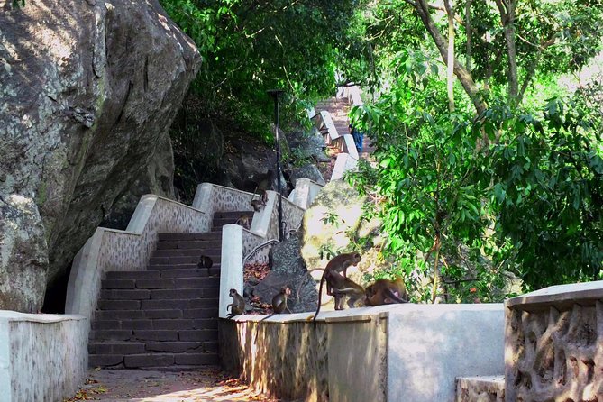 3 Day SriLanka Cultural Tour:Dambulla/ Sigiriya/ Polonnaruwa / Minneriya/ Kandy - Why this Cultural Triangle loop makes sense