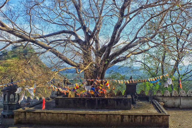 3 Day SriLanka Cultural Tour:Dambulla/ Sigiriya/ Polonnaruwa / Minneriya/ Kandy - The guide factor: service quality that actually matters