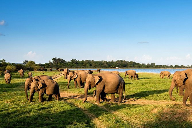 3 Days Glimpse Of Sri Lanka - Price and logistics: what you’re really paying for