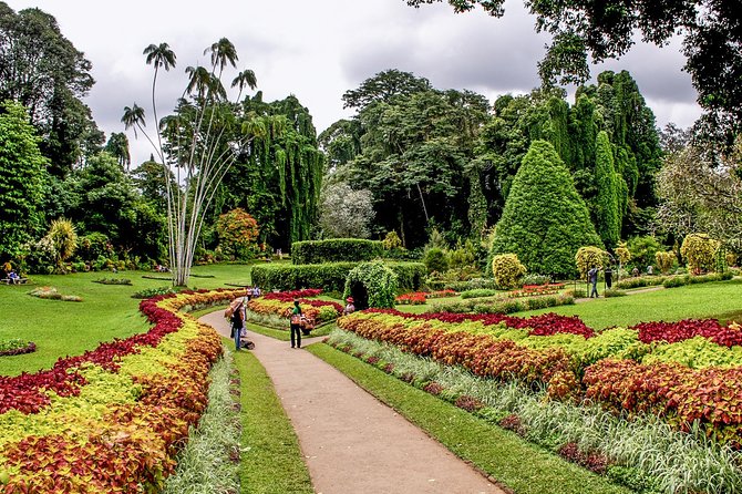 3 Days Tour to Kandy, Nuwara Eliya & Sigiriya - Price and Logistics: What Your $400 Covers (and What You Should Budget For)