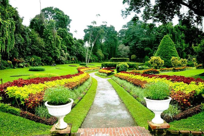 3 Days Tour to Kandy Nuwara Eliya & Sigiriya from Colombo - Who this trip suits (and who may want a slower plan)