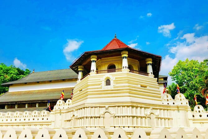 4 Days Private Tour In Sri Lanka - Private chauffeur comfort for Sri Lanka’s Hill County