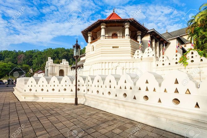 4 Days Tour to Kandy, Sigiriya & Nuwara Eliya - Who should book this tour?