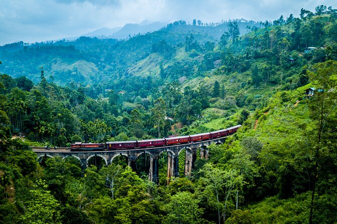 5 Day Multi-City Sightseeing Tour - Day 4: Tea gardens, waterfalls, Gregory Lake, and Nine Arches Bridge