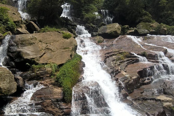 5 Day Private Tour Sri Lanka - Day 4: Udawalawe wildlife morning, then Mirissa beach relaxation