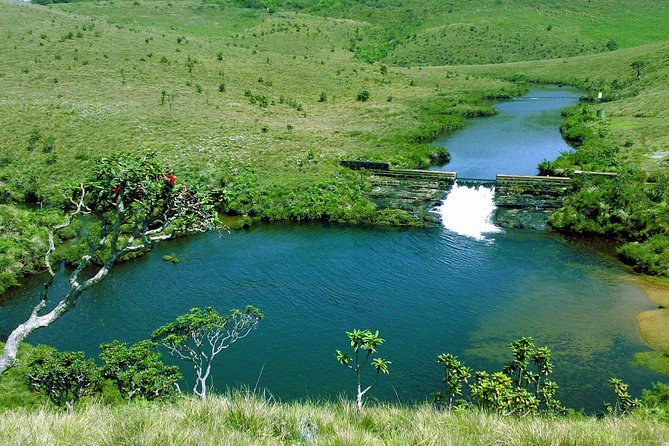 5-Day Sri Lanka Central Highlands Tour - Day 3: Horton Plains UNESCO trails plus Pedro tea factory