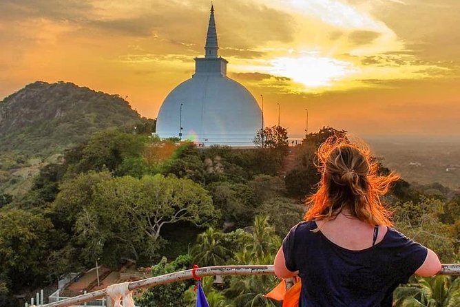 6-Day Sri Lanka Heritage Private Tour - The core idea: private guiding through Sri Lanka’s most famous ruins