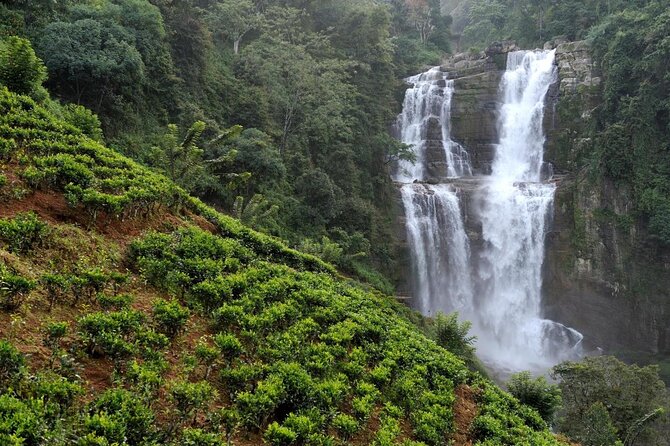 6 Days Nature And Culture Tour - Key things you’ll notice on this Sri Lanka tour