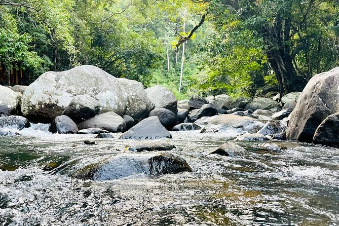 6Days Hill country Private Tour in Sri Lanka - Nuwara Eliya: gardens, tea production, and craft stops