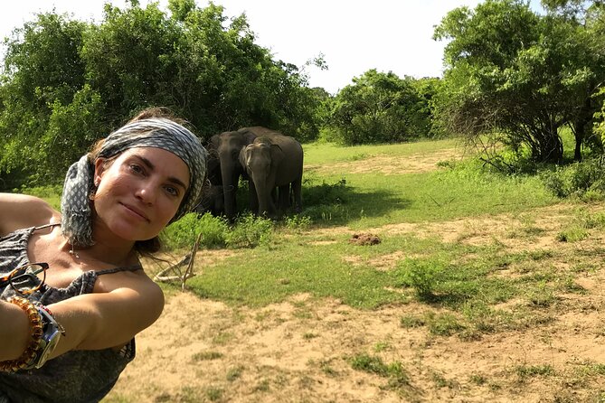7 Day Best of Sri lanka - Afternoon elephant gathering: Kaudulla or Minneriya by jeep