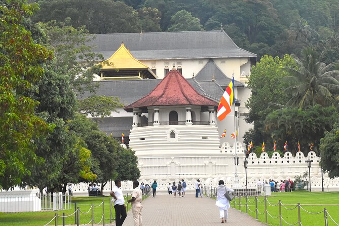 7 Days Classical Tour to Sri Lanka - Peradeniya Royal Botanical Gardens and Nuwara Eliya’s Little England feel