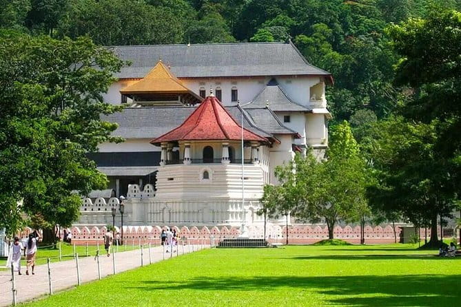 7 Days Private Guided Tour in Sri Lanka - Day 3: Temple of the Sacred Tooth Relic, botanical gardens, waterfalls, and tea hills