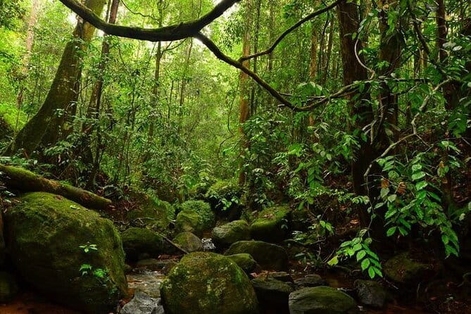 7 Days Private Guided Tour in Sri Lanka - Day 4: Nine Arches Bridge loop, Dunhinda Falls, and Little Adam’s Peak
